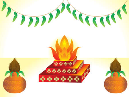 Key Botanical Ingredients and Their Benefits